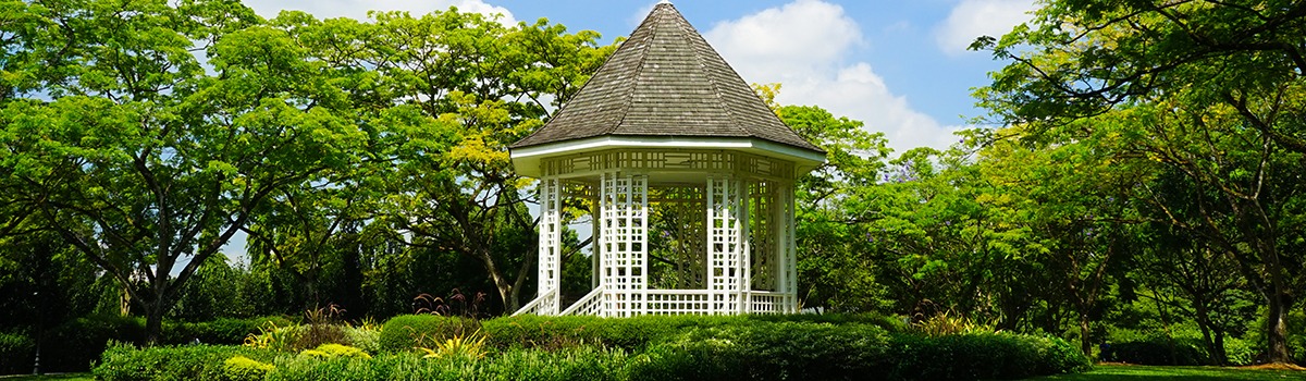 新加坡自然之旅 | 探索公園、花園和步道