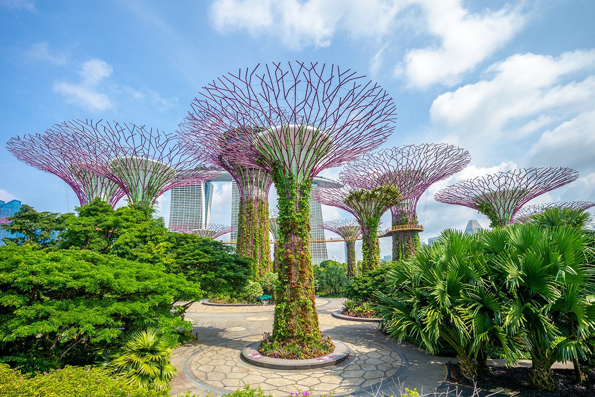 Nature Trips In Singapore Parks