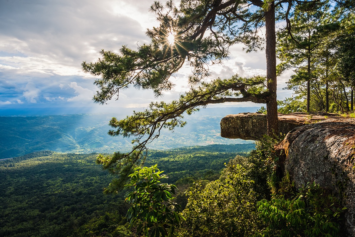 Phu-Kradueng-National-Park-Loei