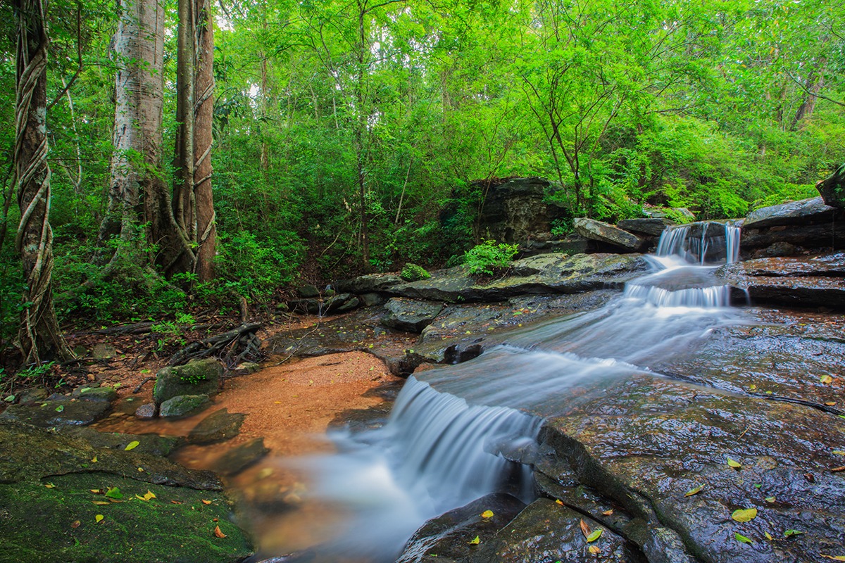 Phu-Phan-National-Park-Sakon-Nahon