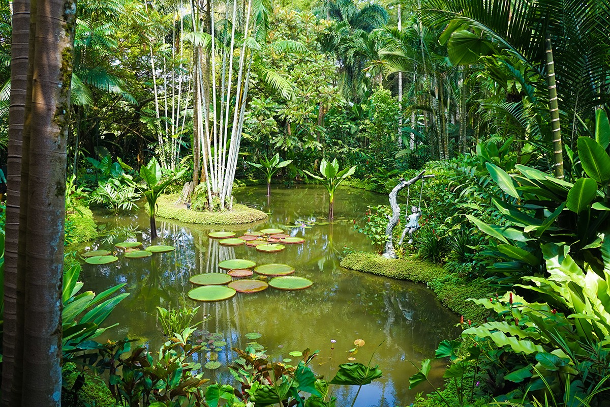 シンガポール植物園