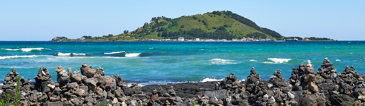 Pet-Friendly Hotels in Jeju – Incredible Island Stays for Travelers with Pets