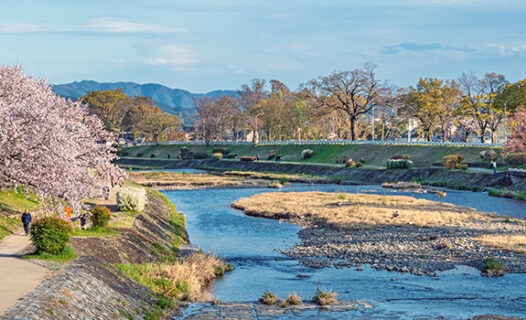 Pet-Friendly Hotels in Kyoto - Places to Stay for Travelers with Pets