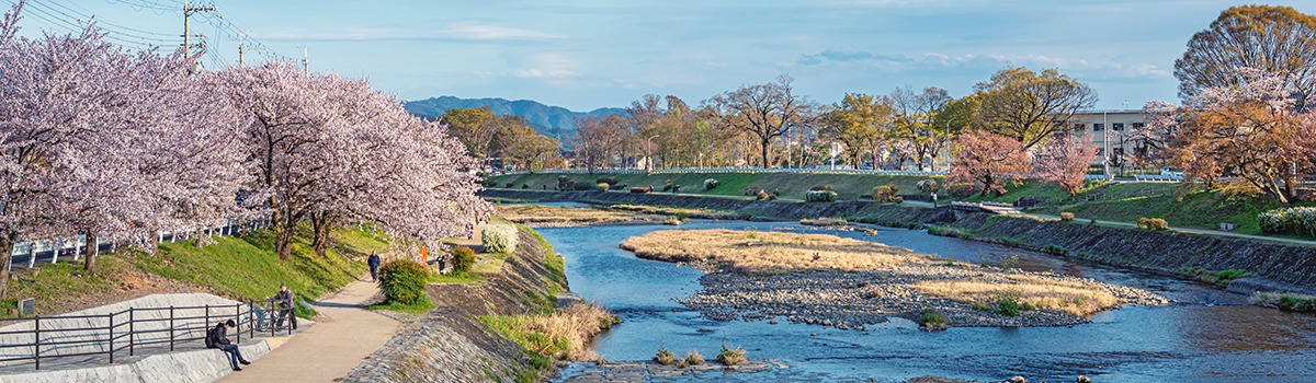 Pet-Friendly Hotels in Kyoto &#8211; Places to Stay for Travelers with Pets