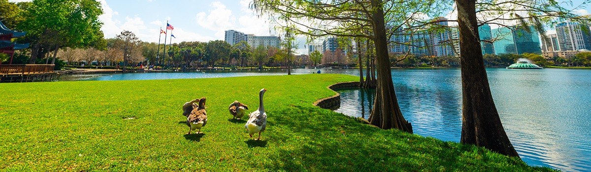 Pet-Friendly Hotels in Orlando &#8211; Places to Stay for Travelers with Pets