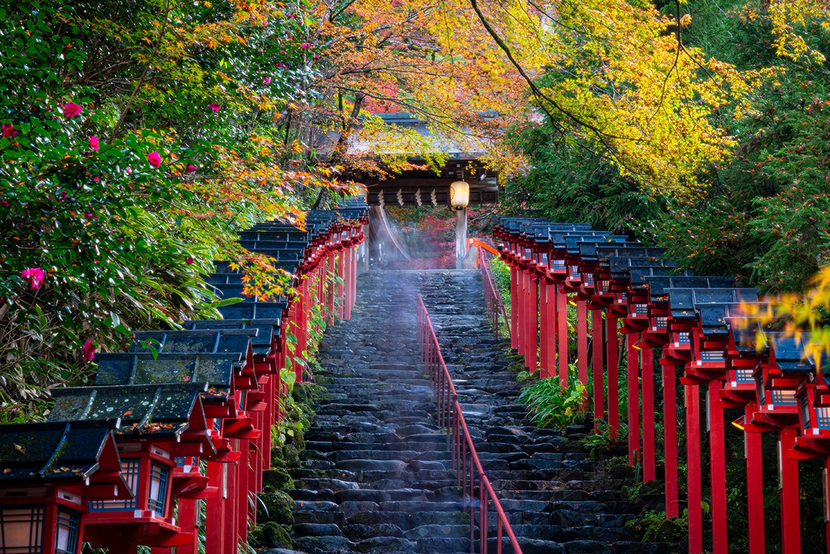 PetFriendly Hotels in Kyoto Places to Stay for Travelers with Pets