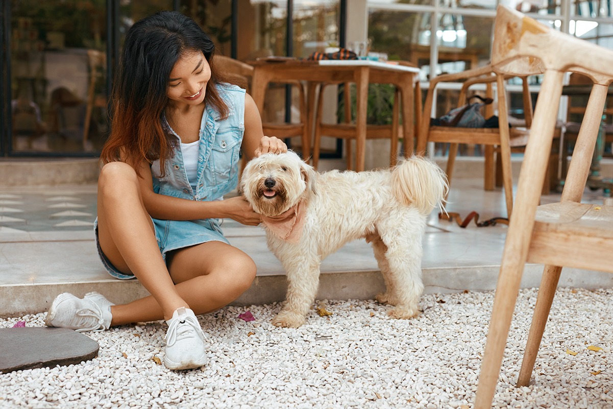 Tips for Finding Pet-Friendly Properties