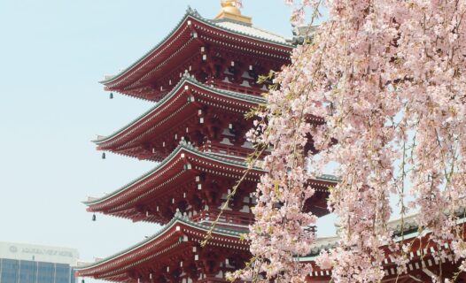 Short ‘hop’ destinations are top choices for Asian travelers celebrating the Year of the Rabbit