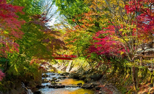 Abundant Hot Springs in Izu | Top 10 Hotels & Japanese Inns