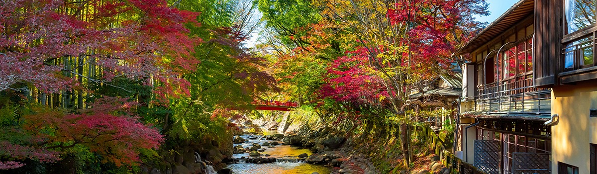 Abundant Hot Springs in Izu | Top 10 Hotels &#038; Japanese Inns