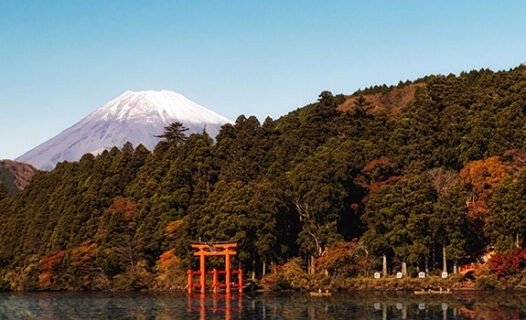 Hakone Hot Springs | Top 10 Hotels and Japanese Inns