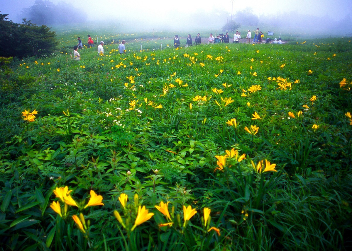 Gardens in Tochigi-Kisuge-daira Park