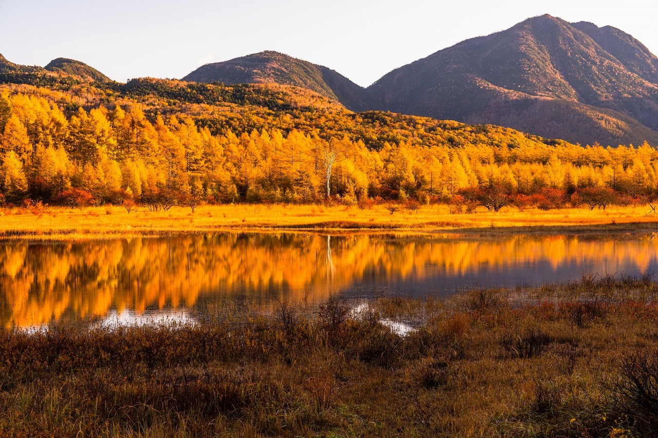 Dining in Tochigi Prefecture