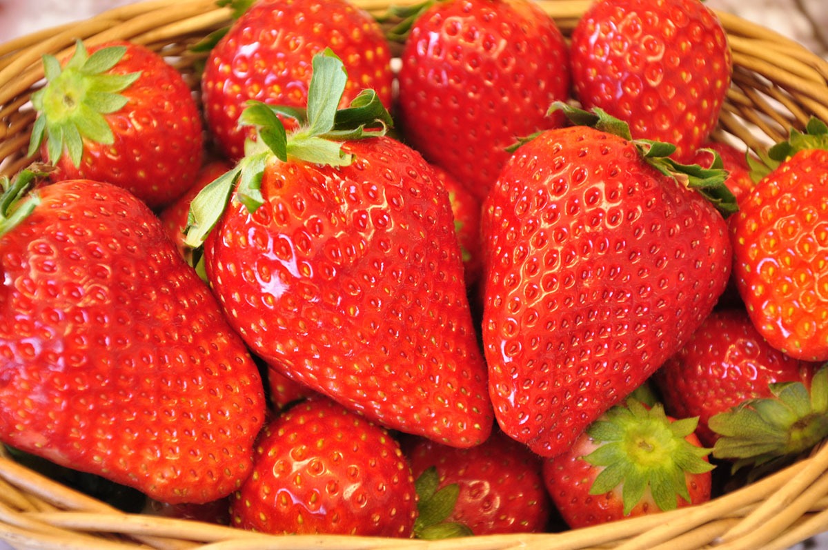 Strawberries-restaurants in Tochigi
