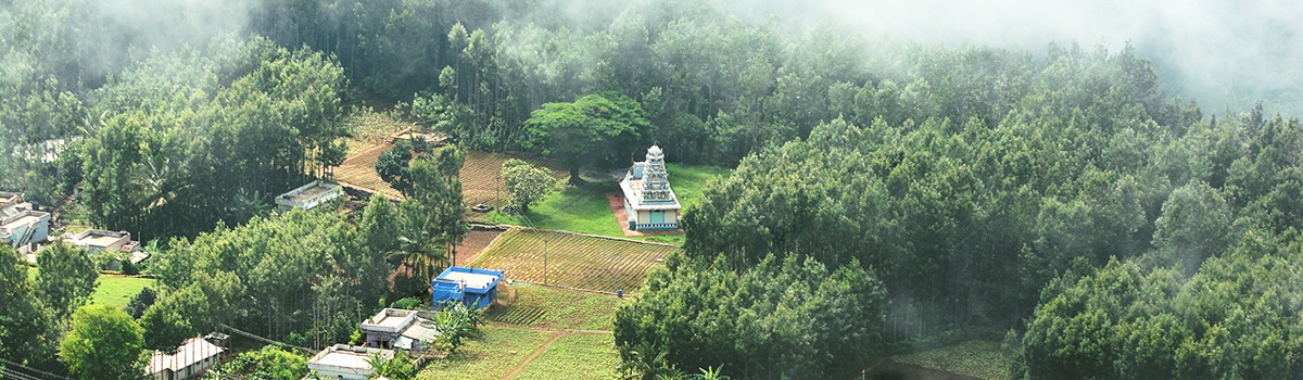 10 Exciting Things to Do in Yercaud, India