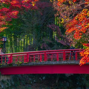 Izu, Japan