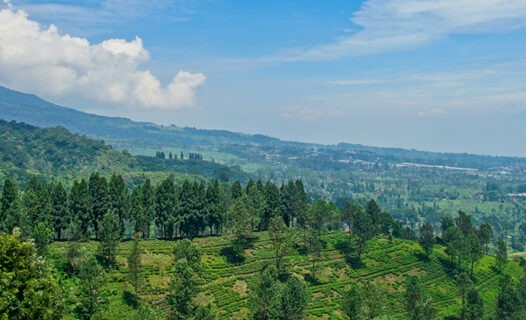 Erkunden Sie den English Peak: Ihr unterhaltsames Wochenende in Puncak!