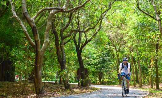 Bang Kachao Activities : Explore the Green Oasis near Bangkok image