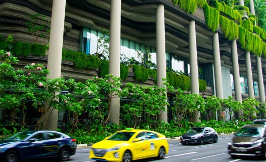 6 Eco-Hotels in Asia Leading the Way to Greener Travel Image