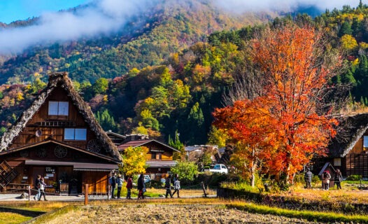 UNESCO World Heritage Sites in Japan (and 1 Geopark) Image