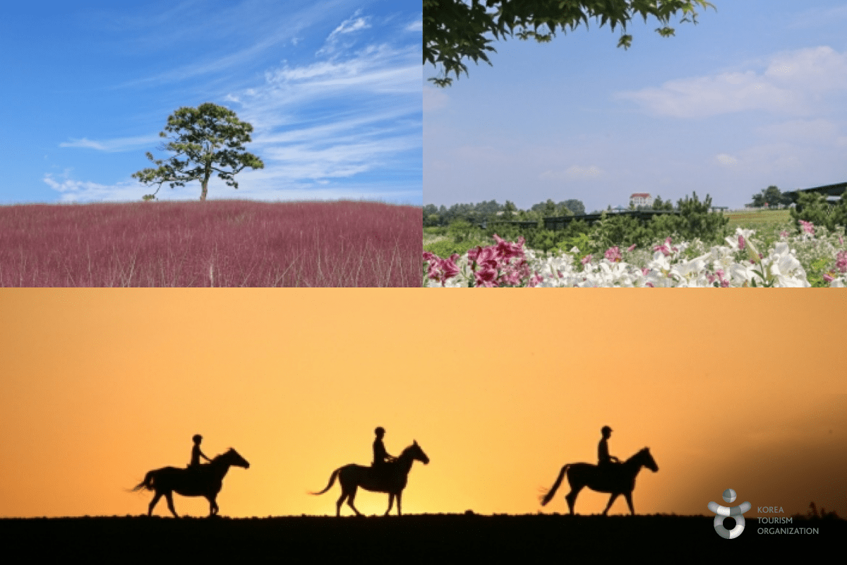 Full-Day Cultural and Shopping Tour in Ansung