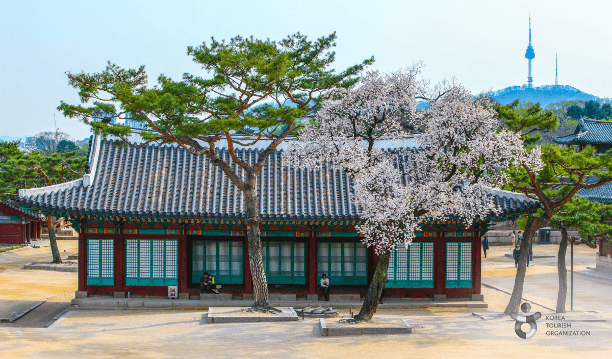 ทัวร์ประวัติศาสตร์วัฒนธรรมเกาหลี 5 วันในช่วงแคมเปญ Visit Korea