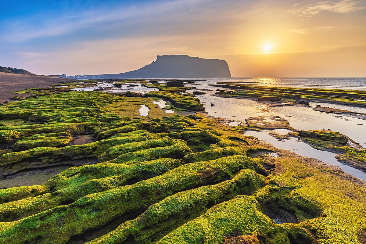 เที่ยวเกาะเชจูแบบง่ายๆ สบายๆ กิจกรรมเด็กเที่ยวเกาหลีในช่วงแคมเปญ Visit Korea 