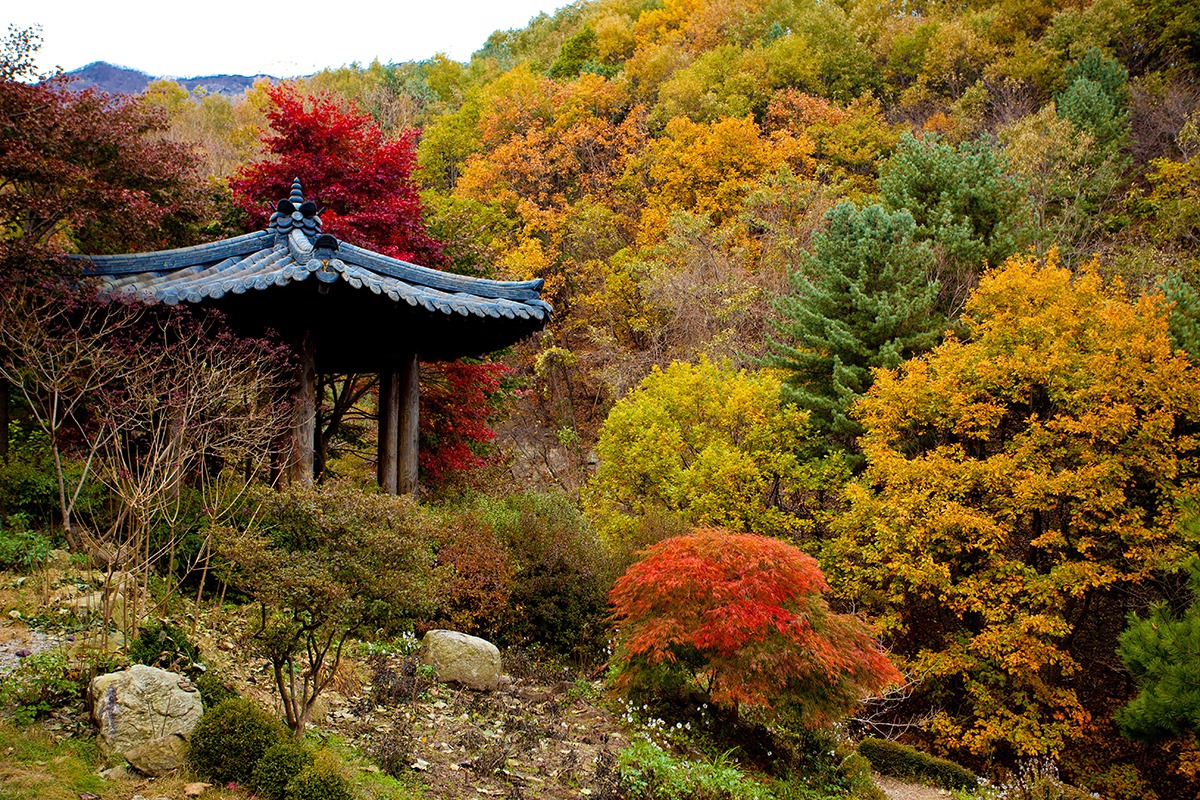 Korea Day Tour from Seoul-Autumn Activities for Visit Korea Year 2023-2024