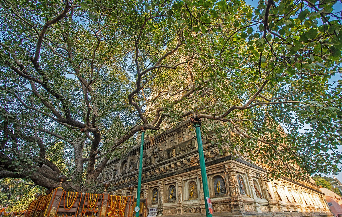 Bodhgaya Buddhist Circuit India