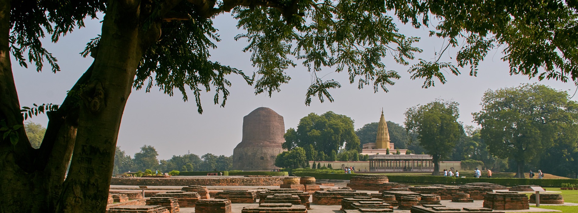 The Buddhist Circuit in India: A Guide to Major Sites background image