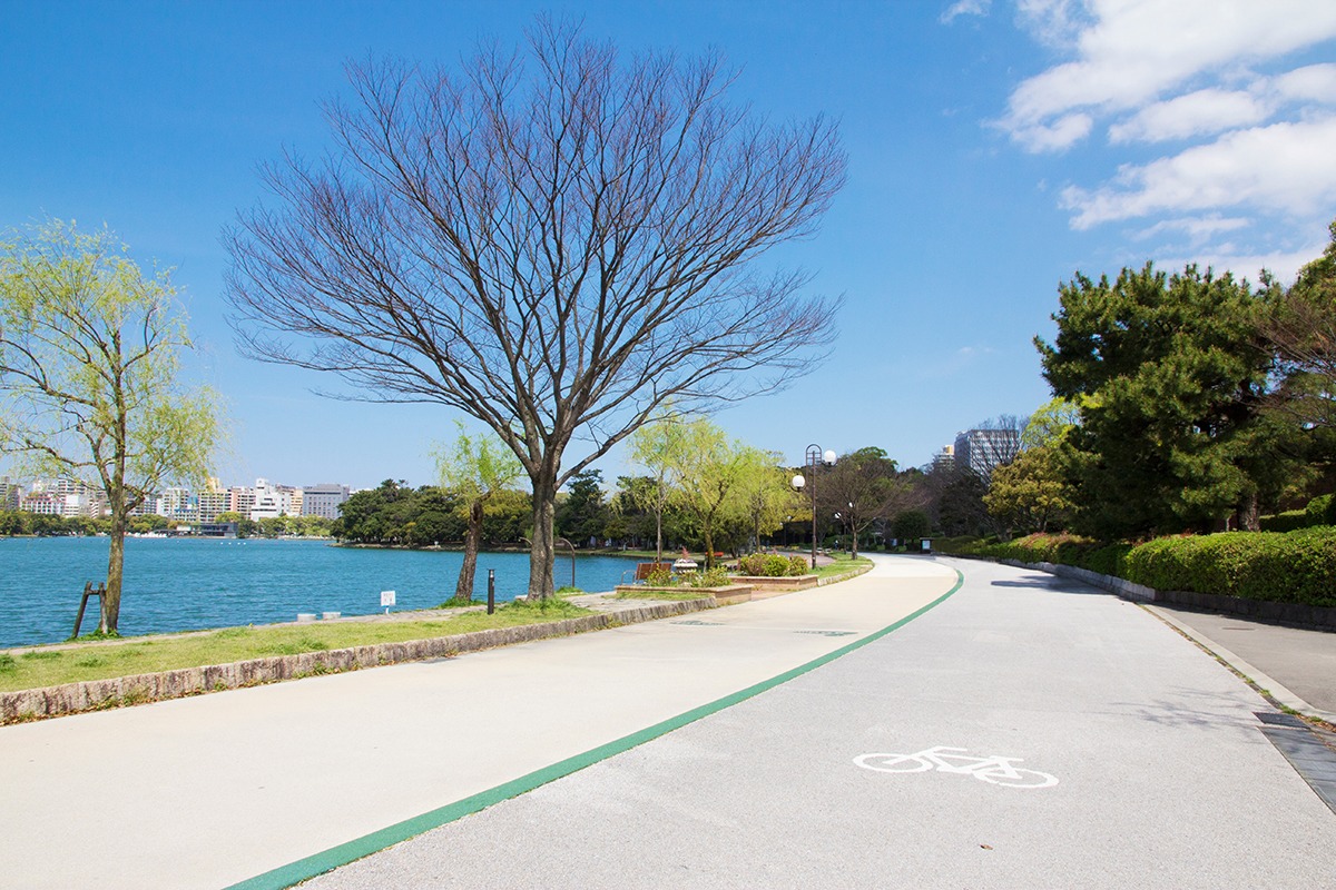Làn đường đi xe đạp ở công viên Ohari