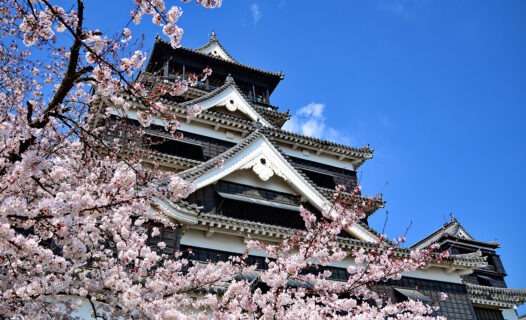 Fukuoka in Bloom: A Springtime Itinerary image