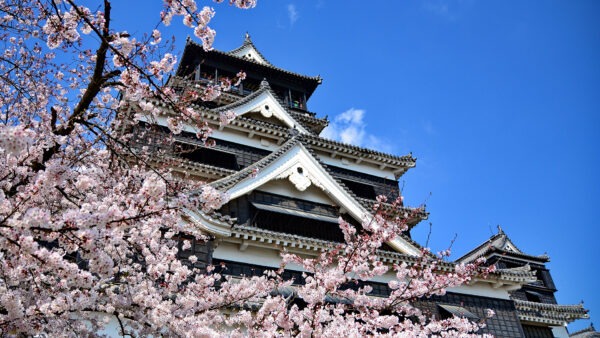Fukuoka in Bloom: A Springtime Itinerary