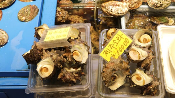 The Best of Jeju’s Comfort Food: Where to Find Heartwarming Local Dishes