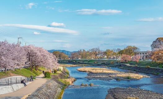 L'essence spirituelle de Kyoto : Un voyage à travers ses anciens temples et sanctuaires image