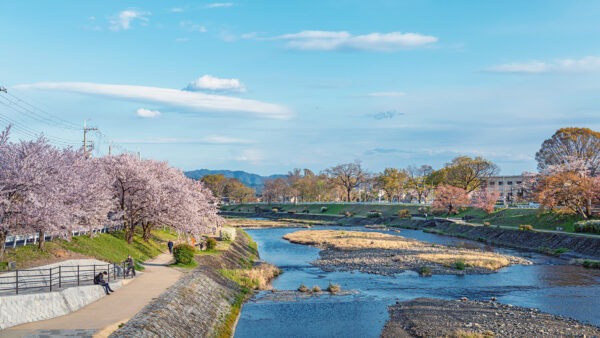 京都的精神本質：穿越古老的寺廟和神社之旅