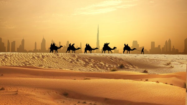 Dubais beste Wüstensafaris: Abenteuer und Luxus in einem