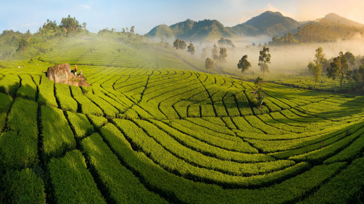 Unveiling the Best Hotel Hideaways in Bandung: Your Ultimate Stay Guide background image
