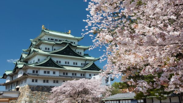 Nagoya in Spring: Cherry Blossom Spots and Seasonal Festivals