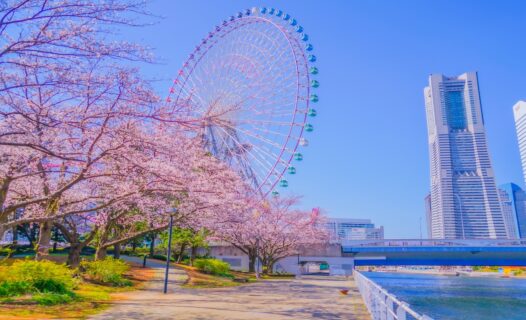 横滨湾的一天海滩、公园和美景