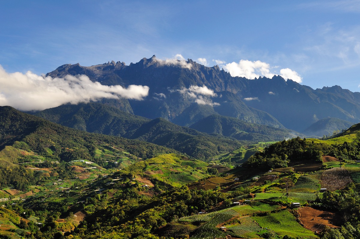 Kinabalu National Park, Sabah Borneo, Malaysia