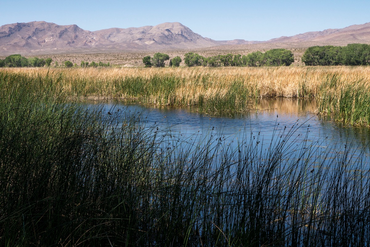 Pahranagat-สัตว์ป่าแห่งชาติ