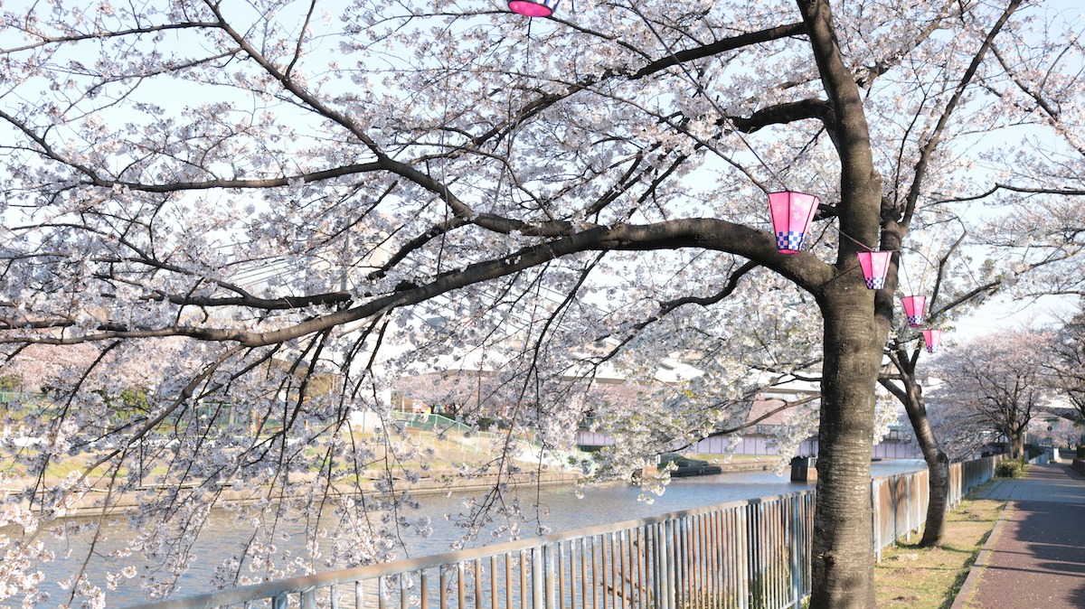 Arakogawa Park Arakogawa Park