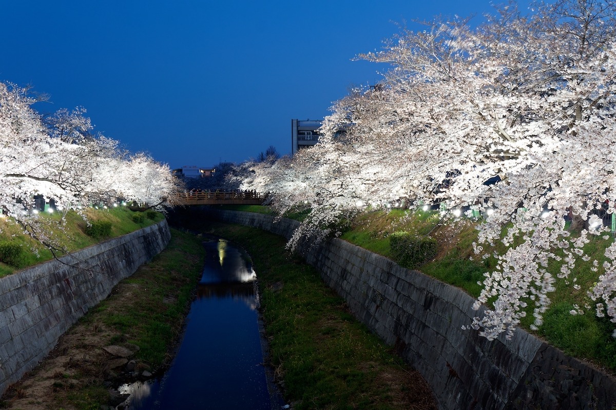 Pemandangan malam Nagoya