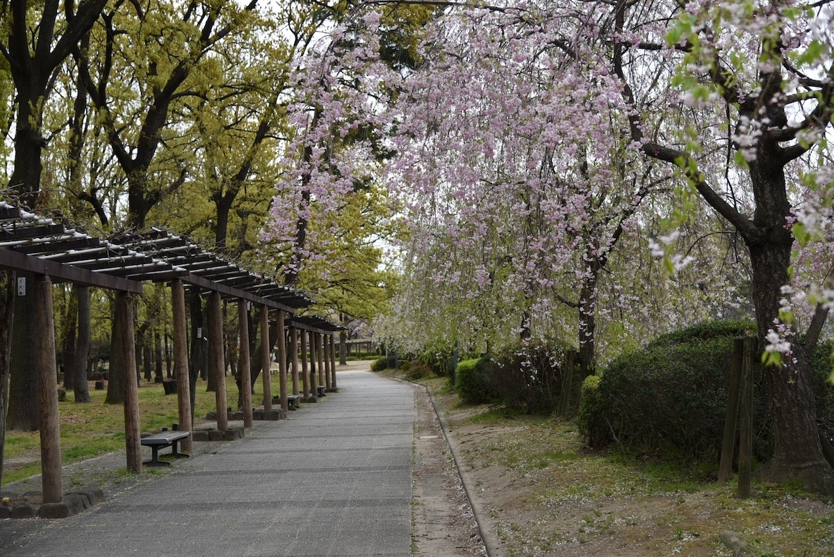 名城公園