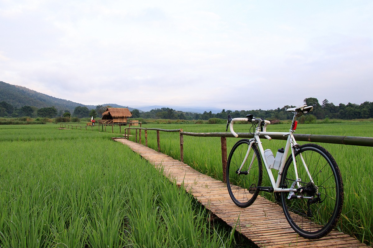 寮國生態旅遊-腳踏車