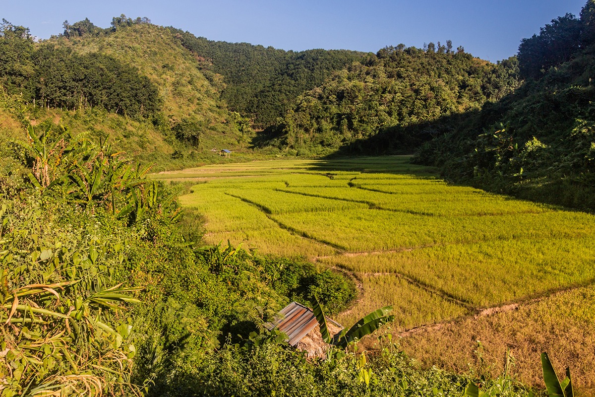 Trekking in Laos Nam Ha National Conservation Protected Area