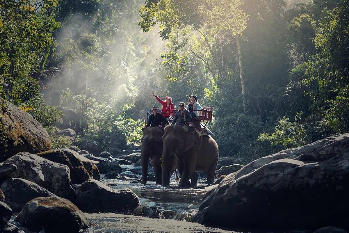 在寮國的叢林中騎大象