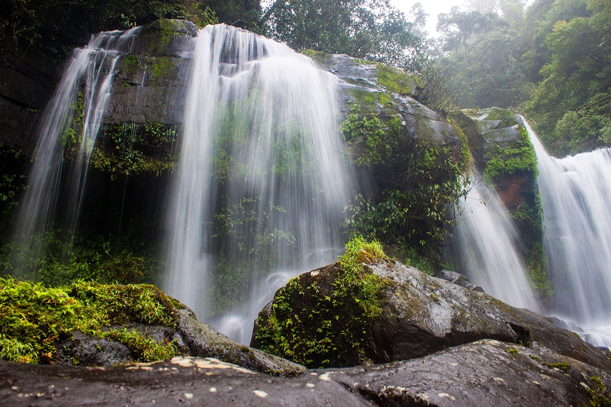 ที่ราบสูงโบลาเวน-น้ำตก Tat Tha Jet-ลาว