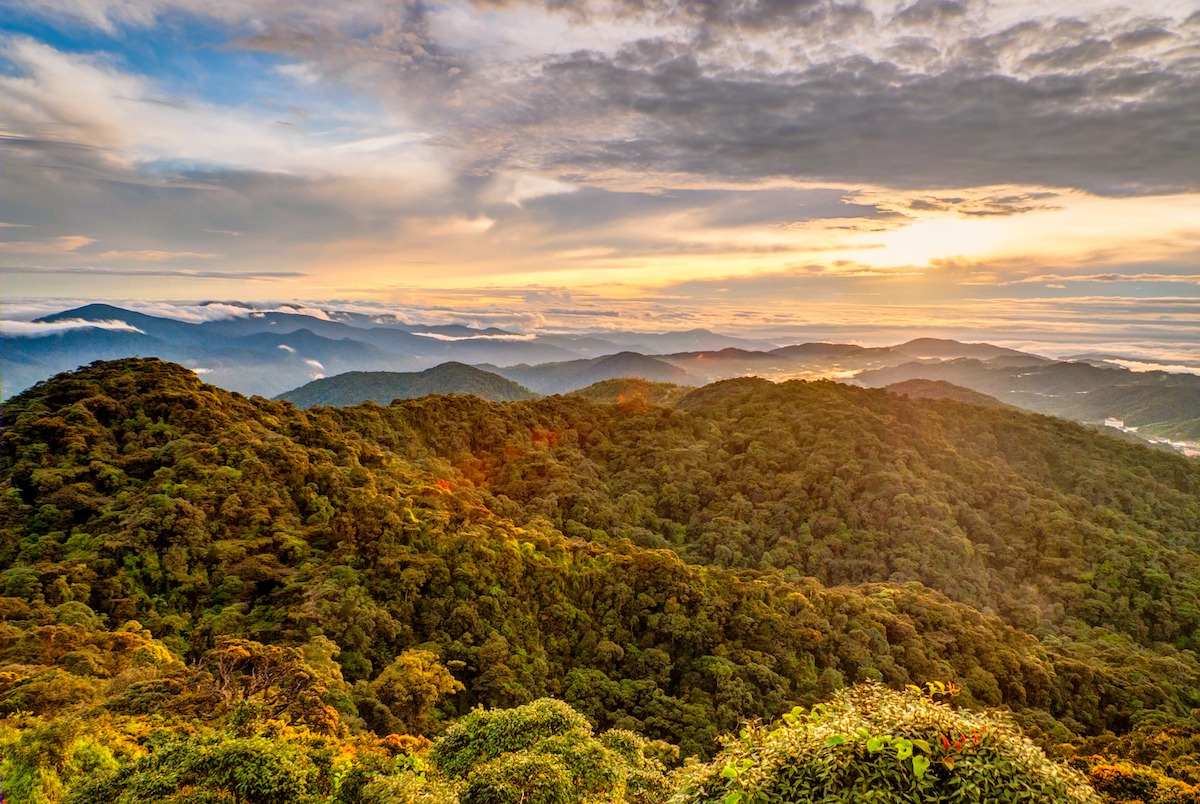 พระอาทิตย์ขึ้นเหนือ Gunung Brinchang บนที่ราบสูงคาเมรอน ประเทศมาเลเซีย